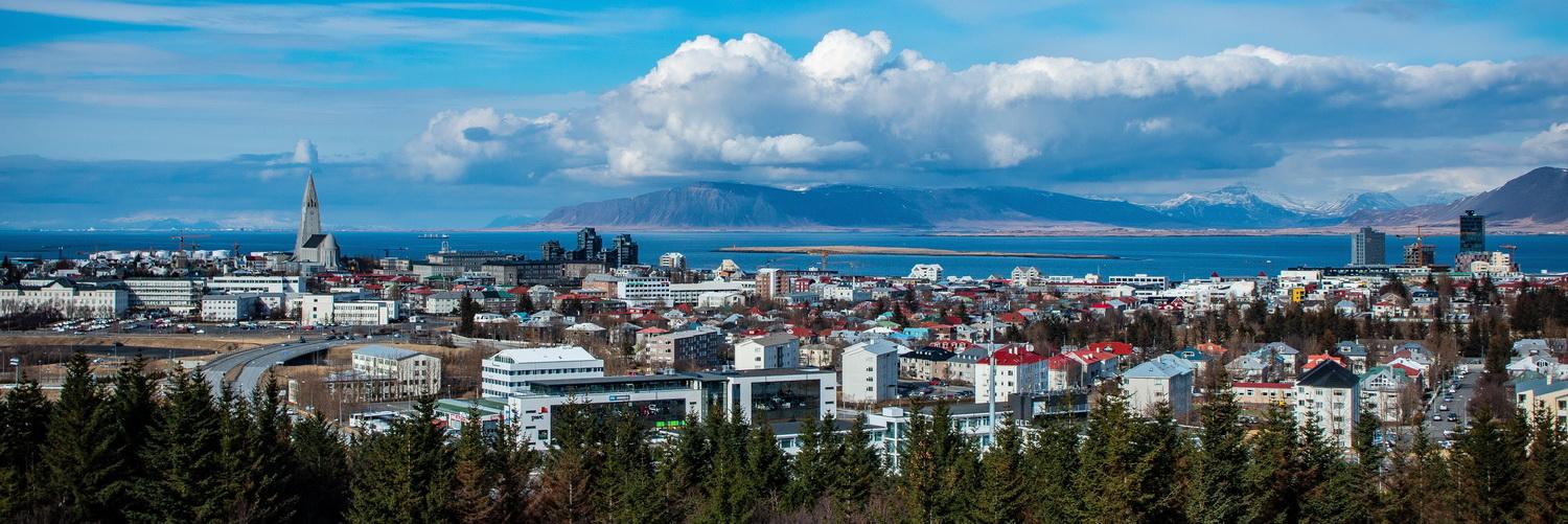 Reykjavik View
