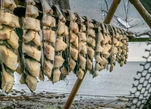 Icelandic Cuisine | Foods to Try in Iceland