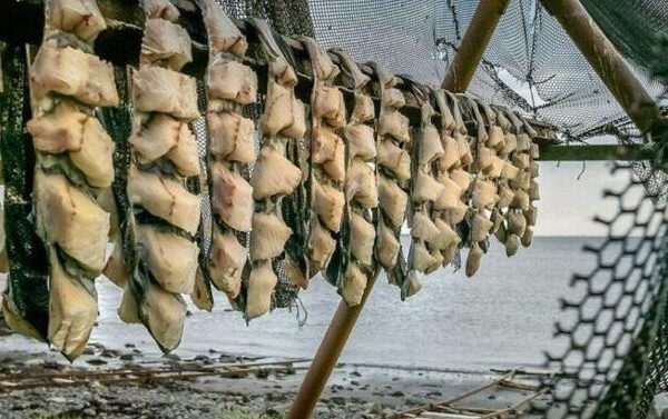 Icelandic Cuisine | Foods to Try in Iceland
